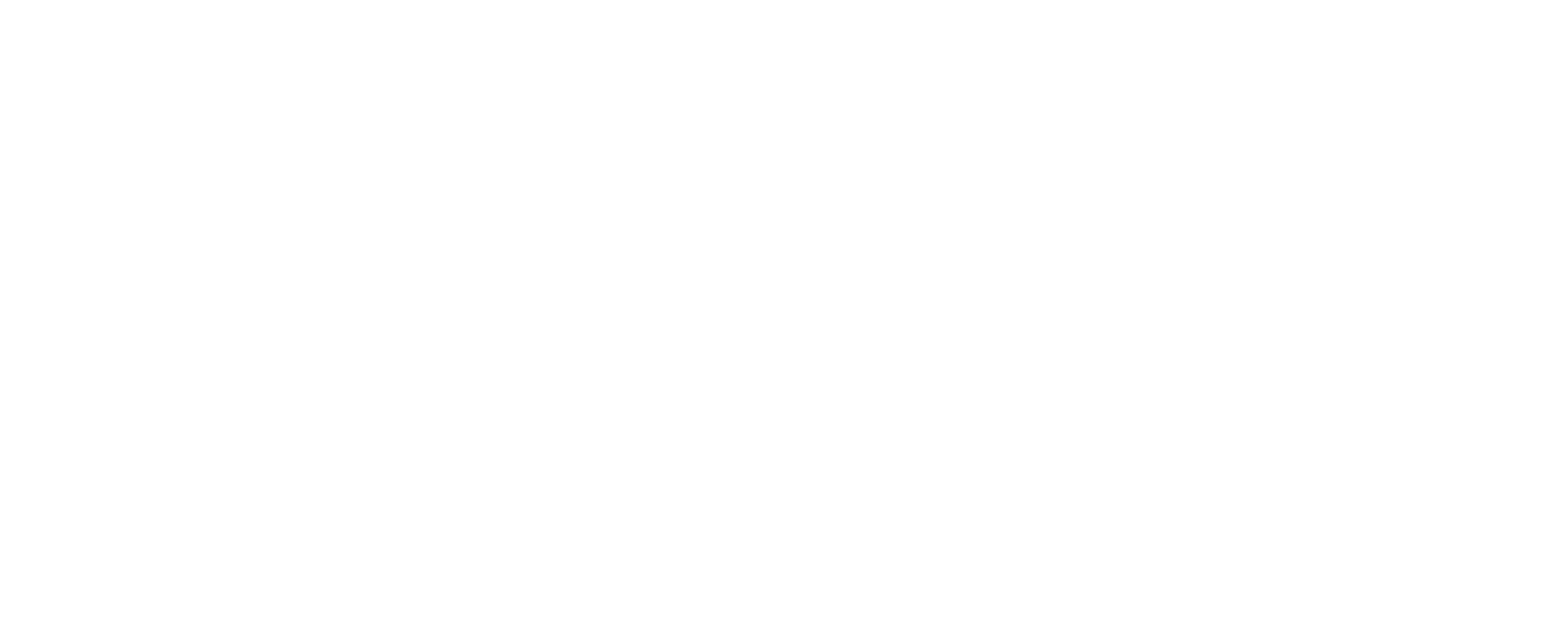 RIVR logo